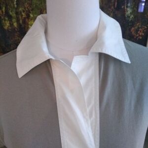 EUC Everlane polo dress